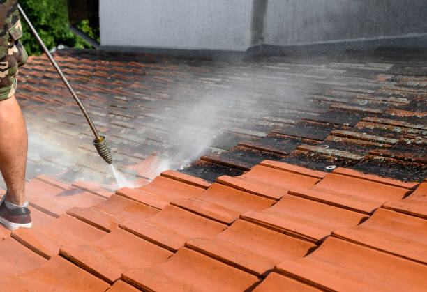 Best Exterior Home Cleaning  in South Lake Tahoe, CA